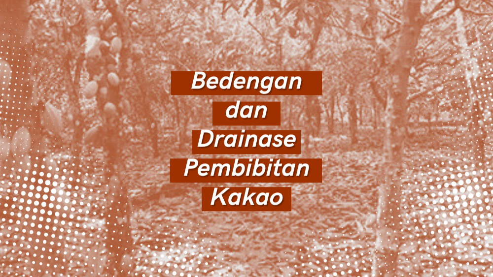 Cover Repository