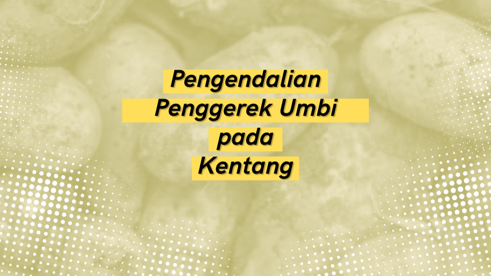 Cover Repository