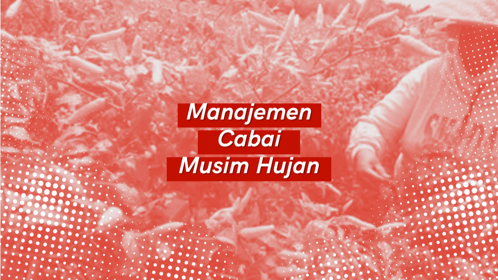 Cover Repository