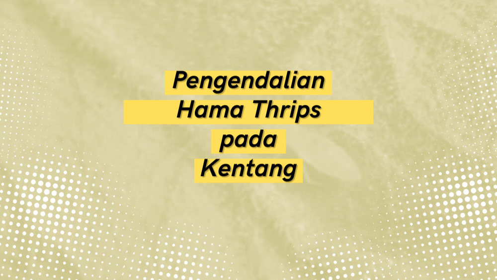 Cover Repository