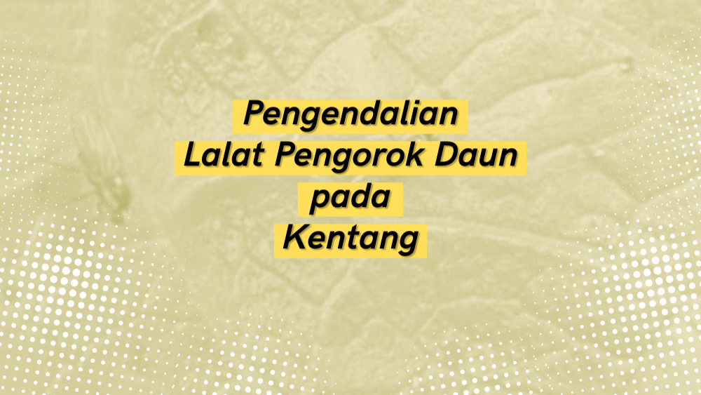 Cover Repository