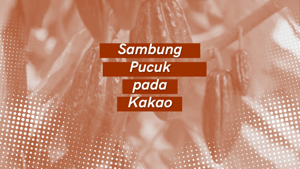 Cover Repository