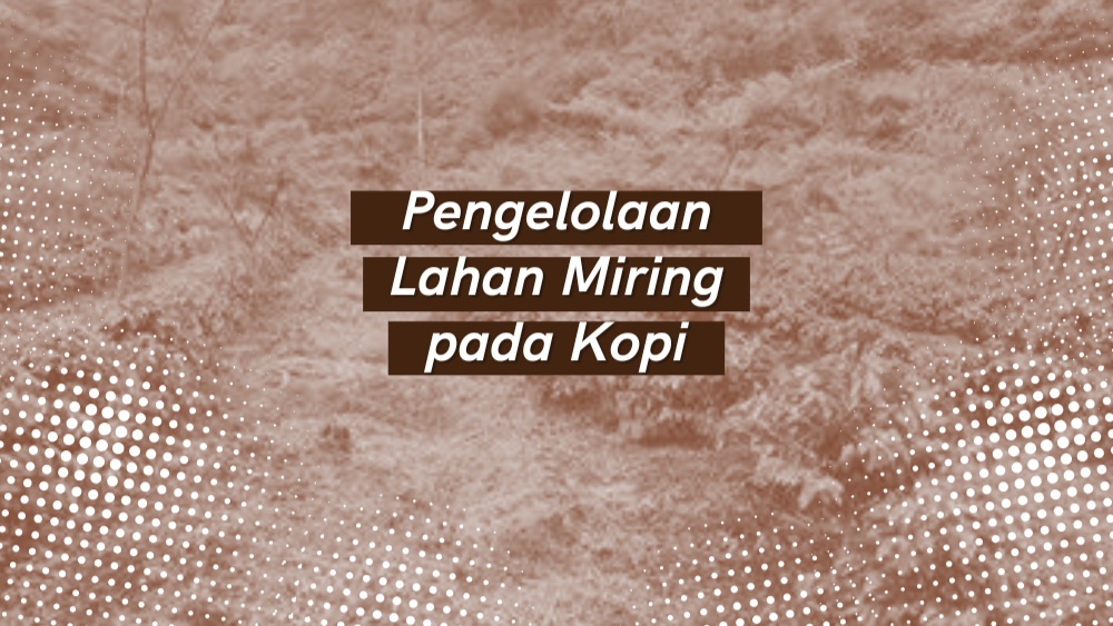 Cover Repository