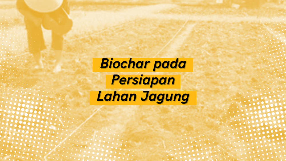 Cover Repository
