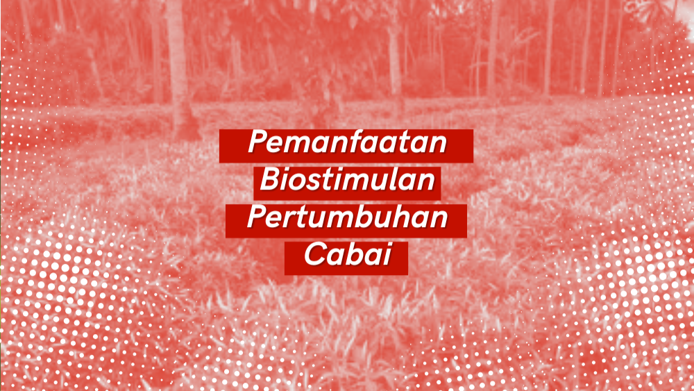 Cover Repository