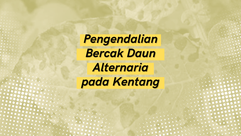 Cover Repository