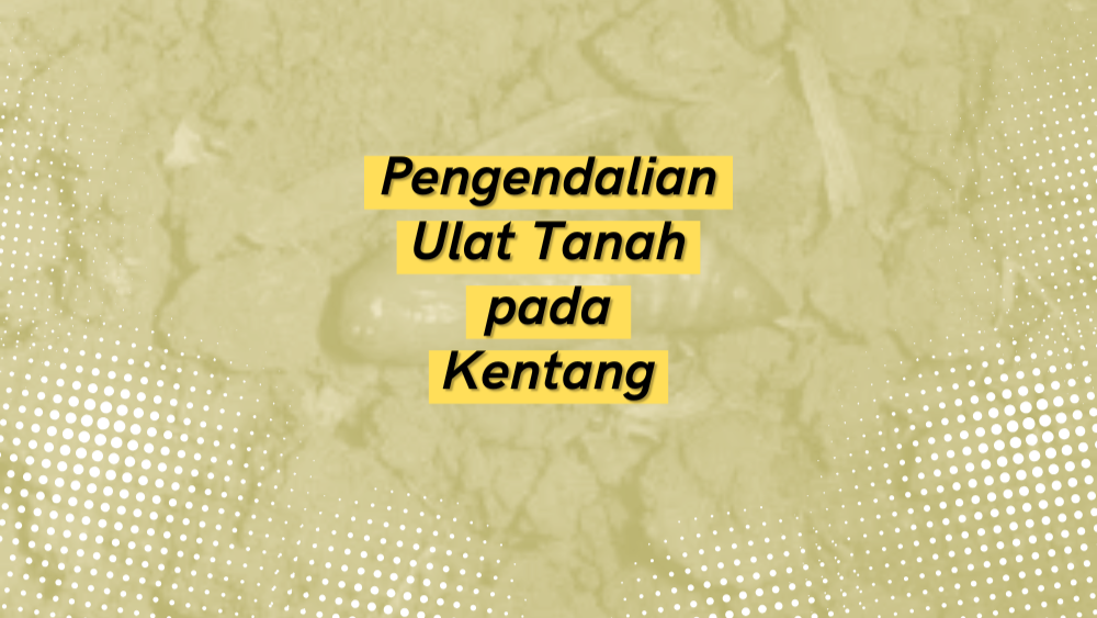 Cover Repository