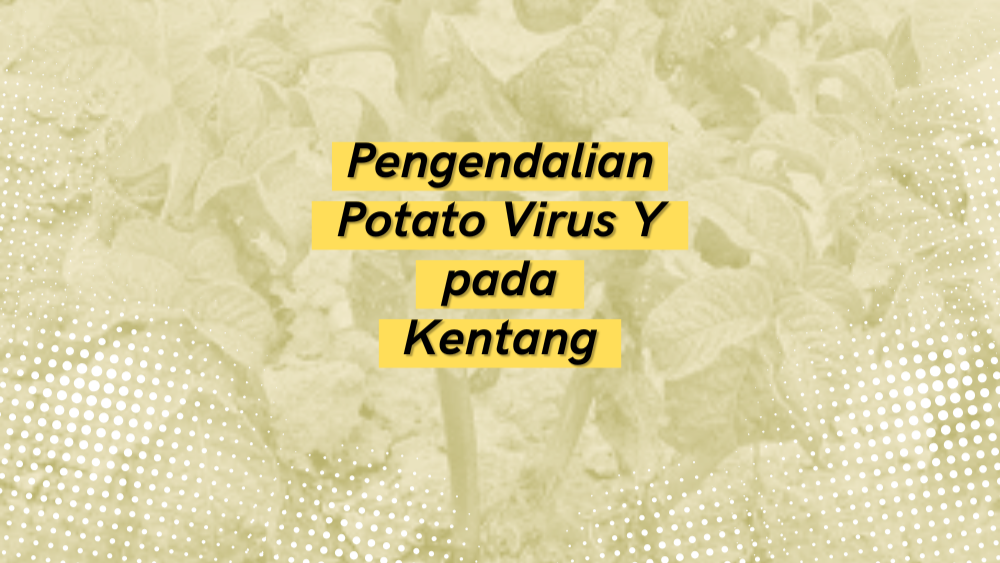 Cover Repository