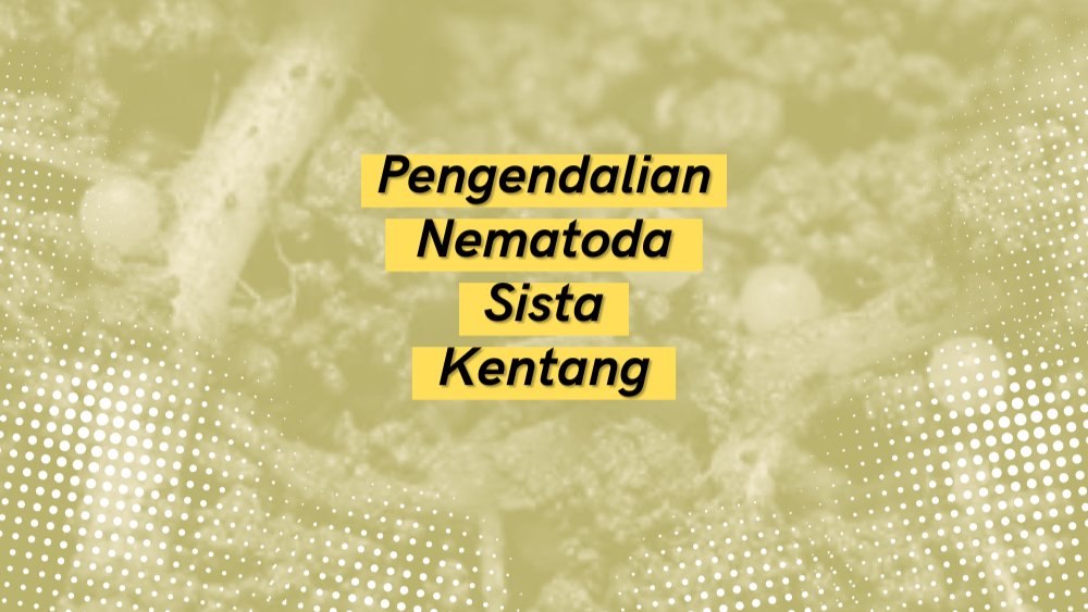 Cover Repository