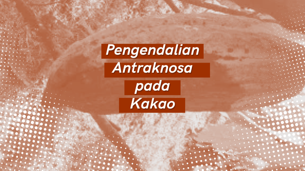 Cover Repository