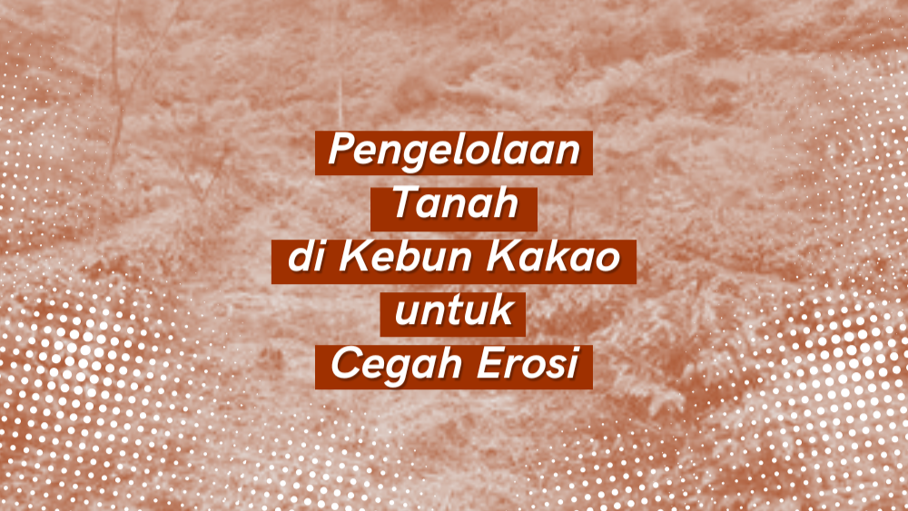 Cover Repository