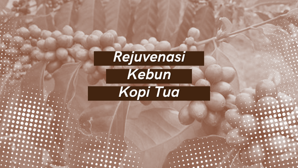 Cover Repository