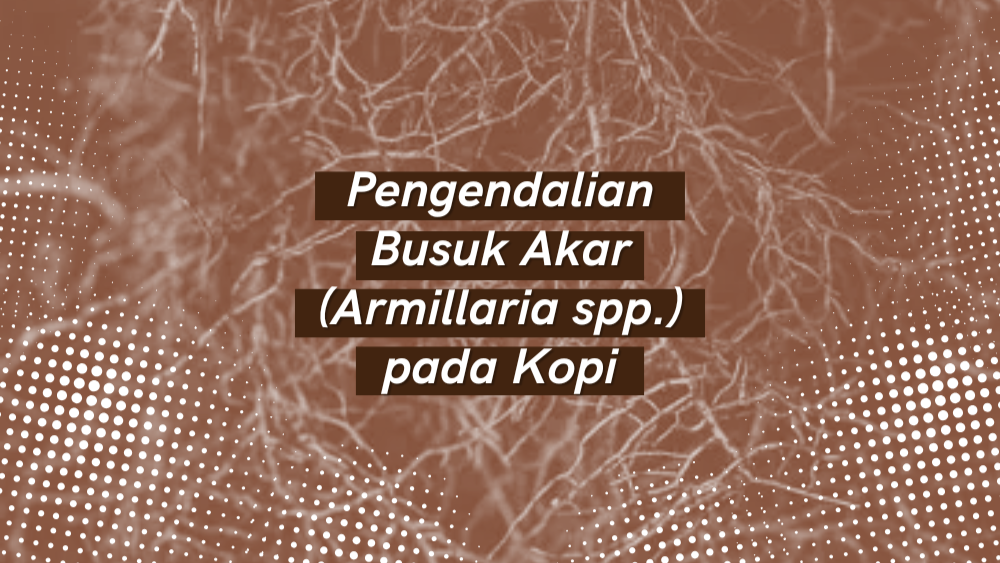 Cover Repository