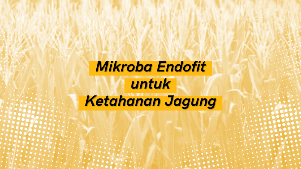 Cover Repository