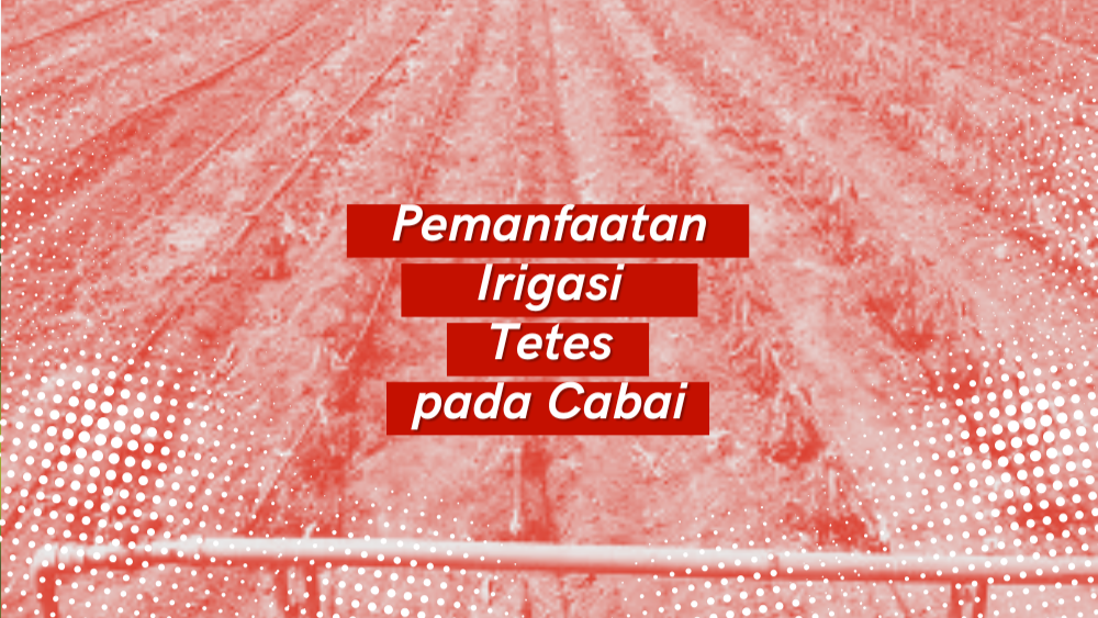 Cover Repository