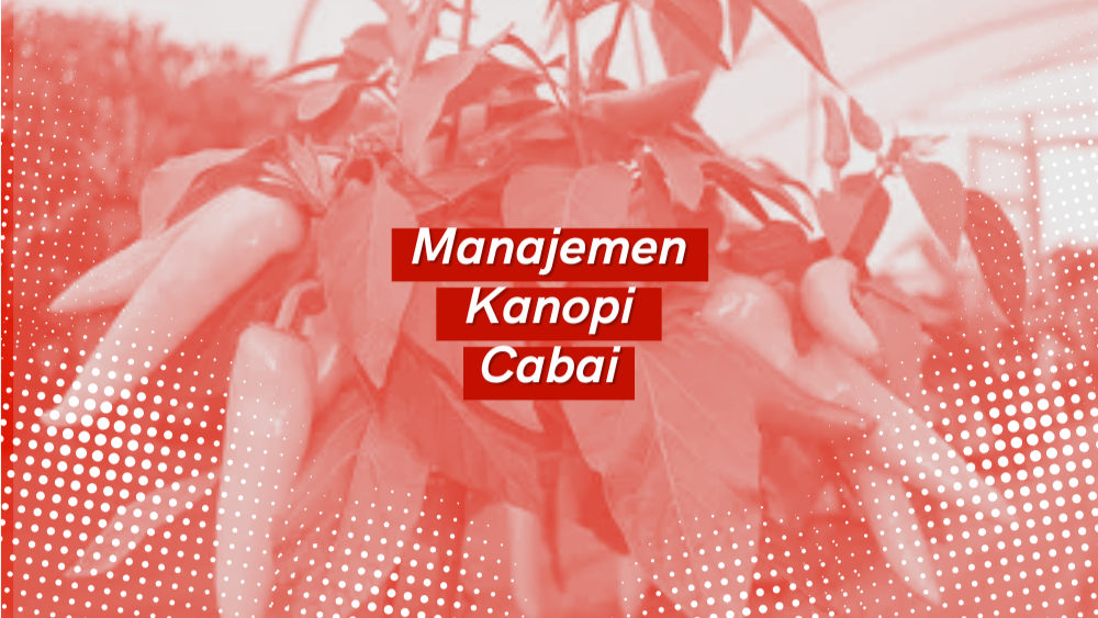 Cover Repository