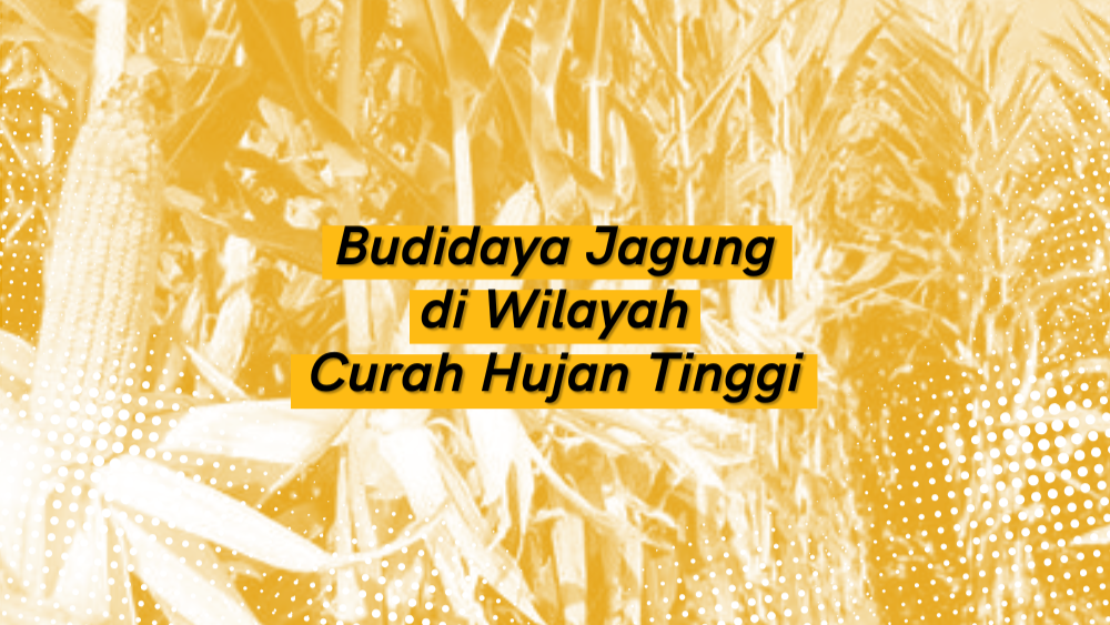 Cover Repository