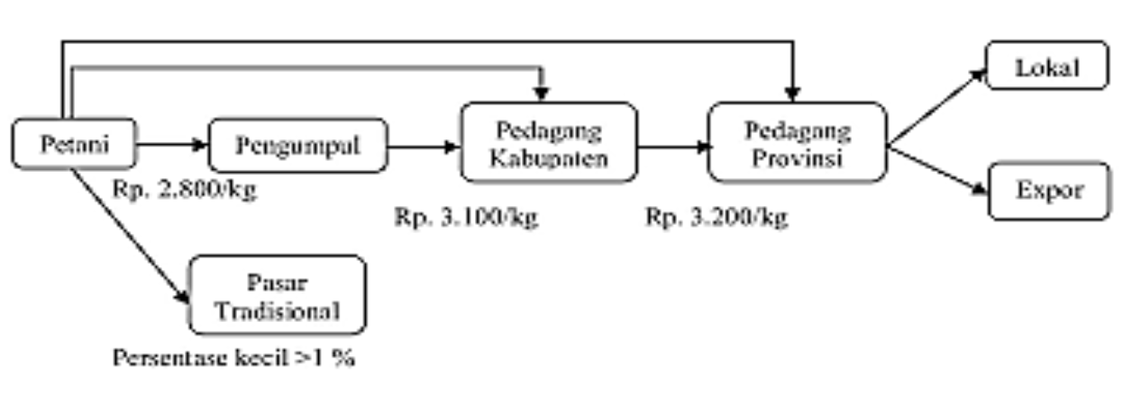 Alur distribusi biji jagung