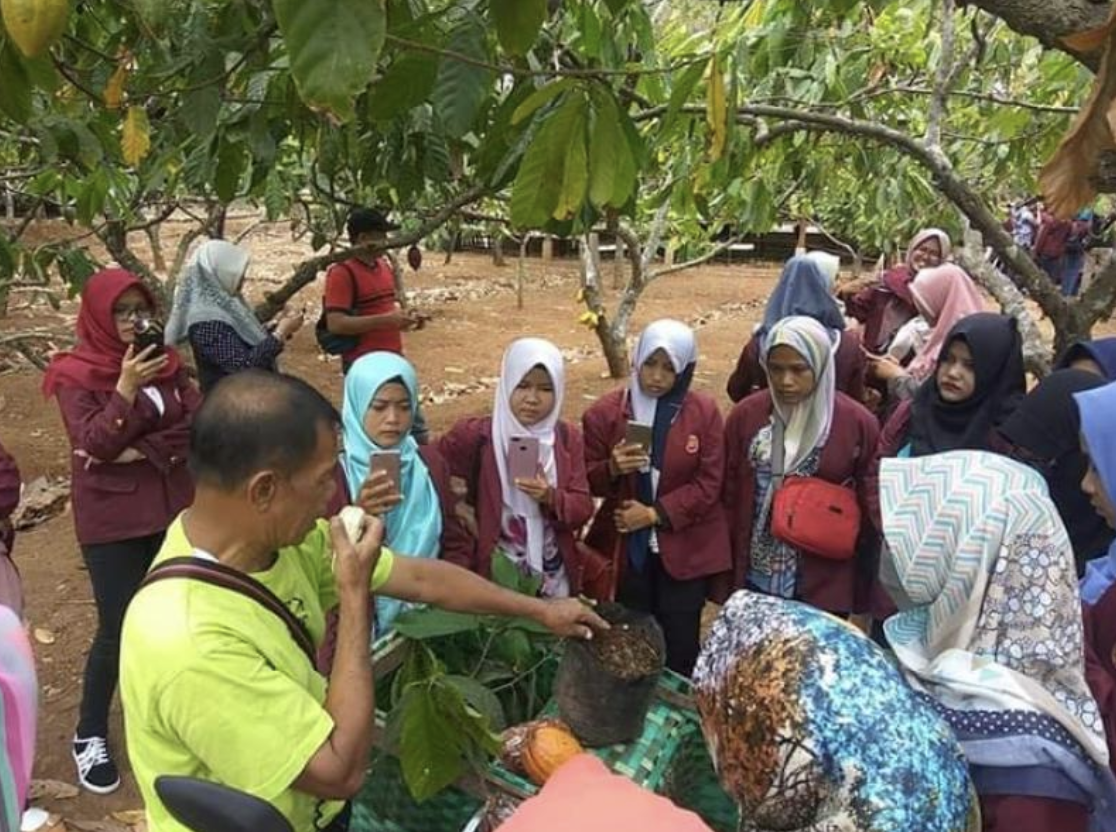 Kebun kakao Nglanggeran