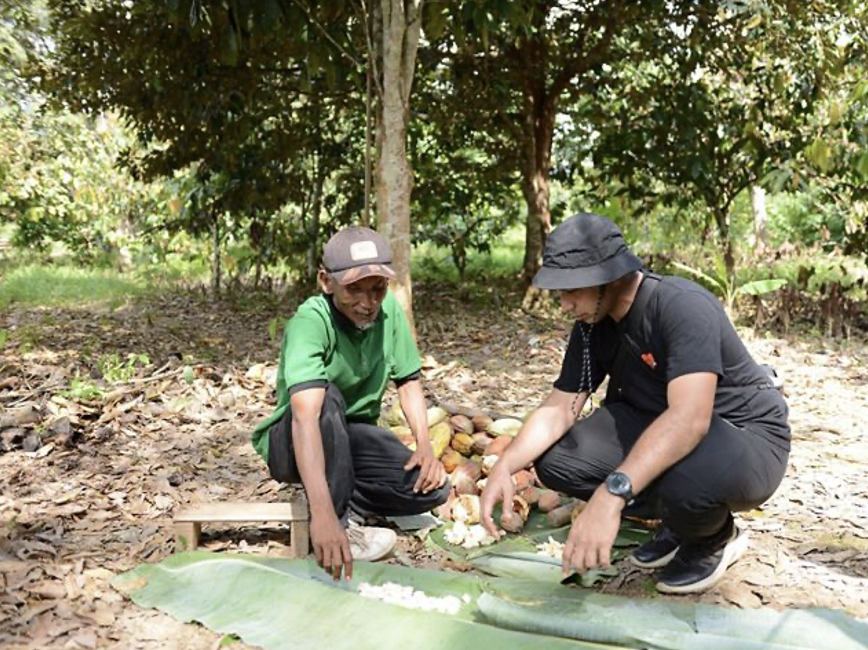 Agroforestri di kebun kakao Kampung Merasa 